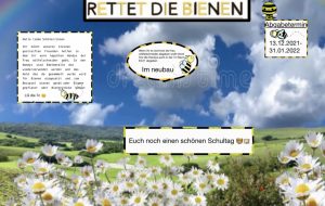Read more about the article Rettet die Bienen