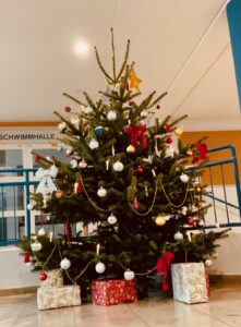 Mehr über den Artikel erfahren Weihnachtstrucker 2025